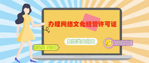 網(wǎng)絡(luò)文化經(jīng)營(yíng)許可業(yè)務(wù)類(lèi)型及申請(qǐng)準(zhǔn)備條件詳解