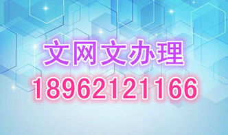 認(rèn)識(shí)網(wǎng)絡(luò)文化經(jīng)營(yíng)許可證（文網(wǎng)文），南京及無錫企業(yè)須知的全面指南